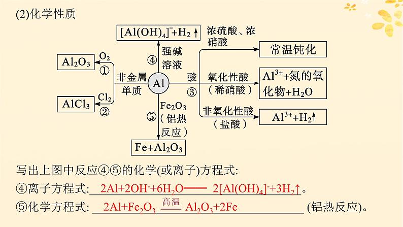 备战2025届新高考化学一轮总复习第3章金属及其化合物第12讲铝镁及其化合物课件第6页