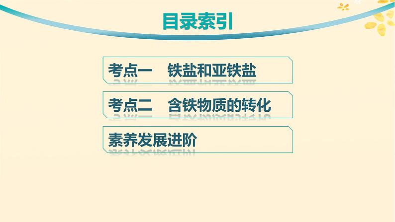 备战2025届新高考化学一轮总复习第3章金属及其化合物第11讲铁盐和亚铁盐含铁物质的转化课件第3页