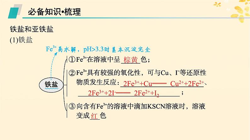 备战2025届新高考化学一轮总复习第3章金属及其化合物第11讲铁盐和亚铁盐含铁物质的转化课件第5页