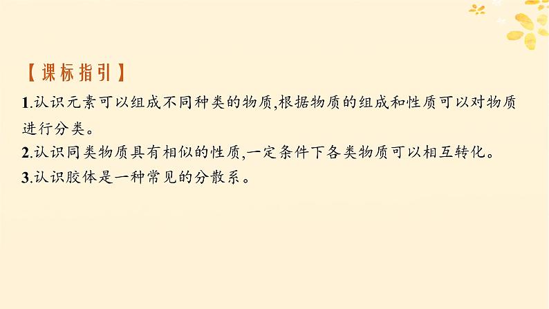备战2025届新高考化学一轮总复习第1章物质及其变化第1讲物质的组成分类及性质课件第2页