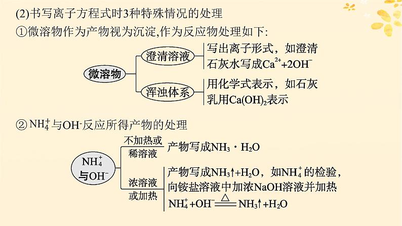 备战2025届新高考化学一轮总复习第1章物质及其变化第3讲离子方程式的书写及正误判断课件第8页