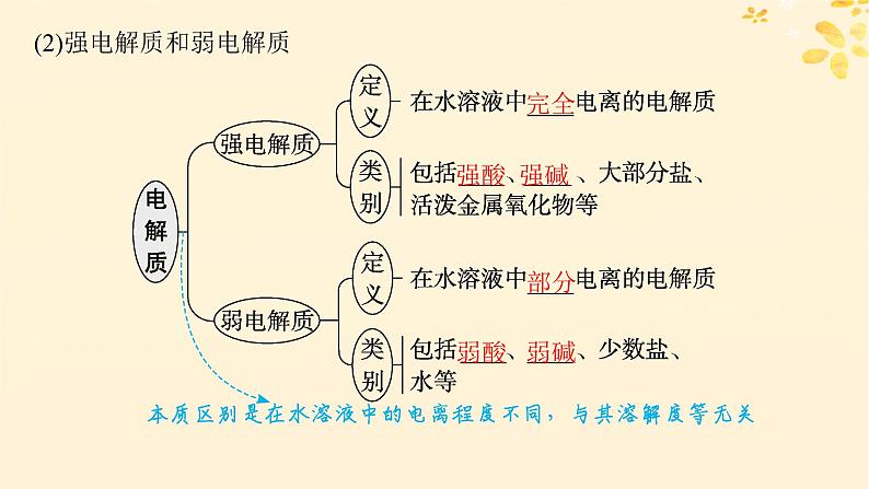 备战2025届新高考化学一轮总复习第1章物质及其变化第2讲电解质与离子反应课件第7页