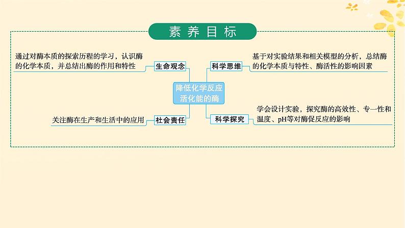 备战2025届新高考生物一轮总复习第3单元细胞的代谢第10讲降低化学反应活化能的酶课件第2页