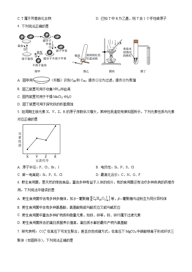 辽宁省辽阳市2024届高三第一次模拟考试化学试卷(原卷版+解析版)02