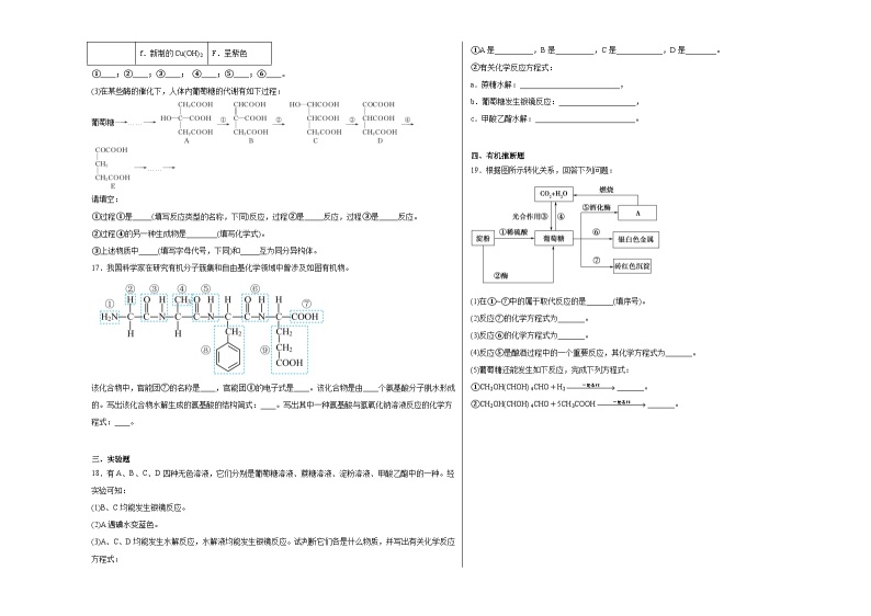 4.1生物大分子同步练习03