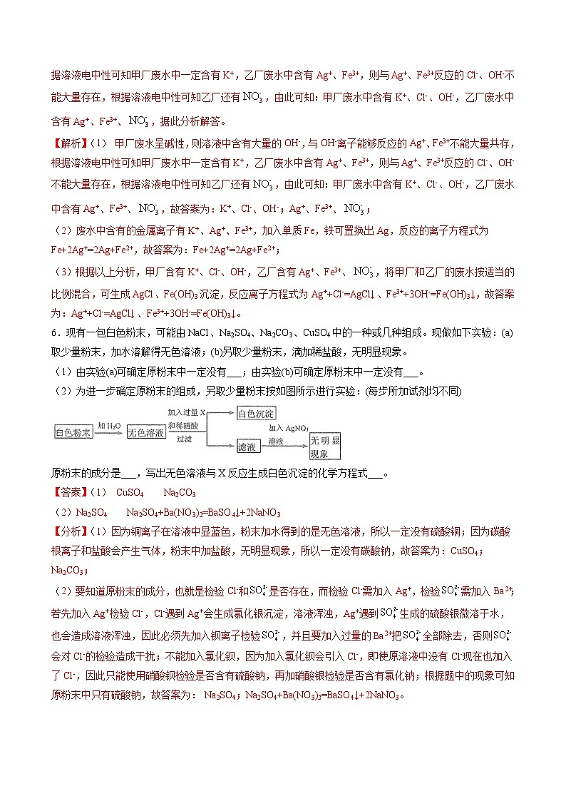 1.7 离子的检验与推断(精练)-高一化学上学期《考点•题型•技巧》精讲与精练高分突破(人教版)(解析版)第3页