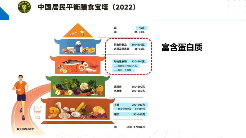 8.2.5蛋白质和氨基酸（同步课件）-2023-2024学年高一化学同步精品课件+分层练习（苏教版必修第二册）04