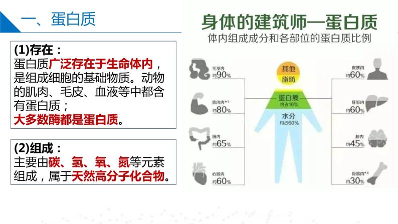 8.2.5蛋白质和氨基酸（同步课件）-2023-2024学年高一化学同步精品课件+分层练习（苏教版必修第二册）05