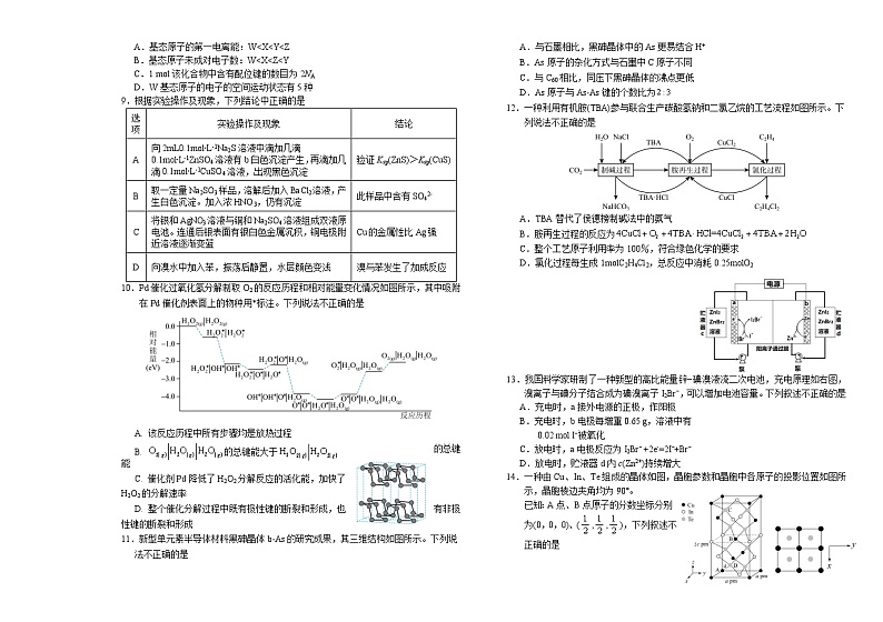 2024届辽宁省葫芦岛市高三年级下学期第一次模拟考试化学试题(无答案)02