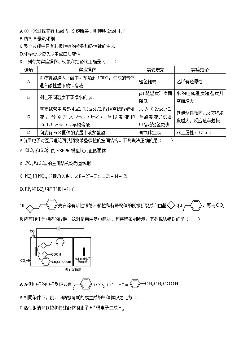 八省八校T8联考2024届高三第二次学业质量评价化学试卷(Word版附答案)第3页