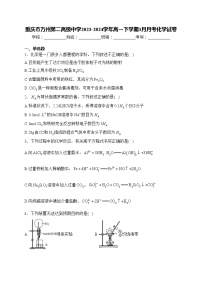 重庆市万州第二高级中学2023-2024学年高一下学期3月月考化学试卷(含答案)