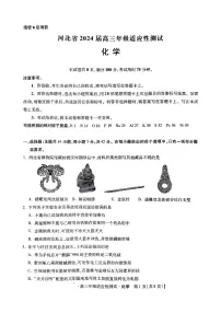 河北省2024届高三下学期3月适应性测试化学试题（PDF版含答案）