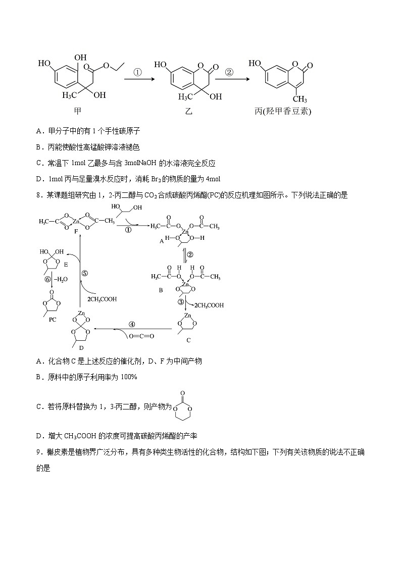 第33讲 烃的衍生物- 2024年高考化学大一轮复习【精讲精练】03