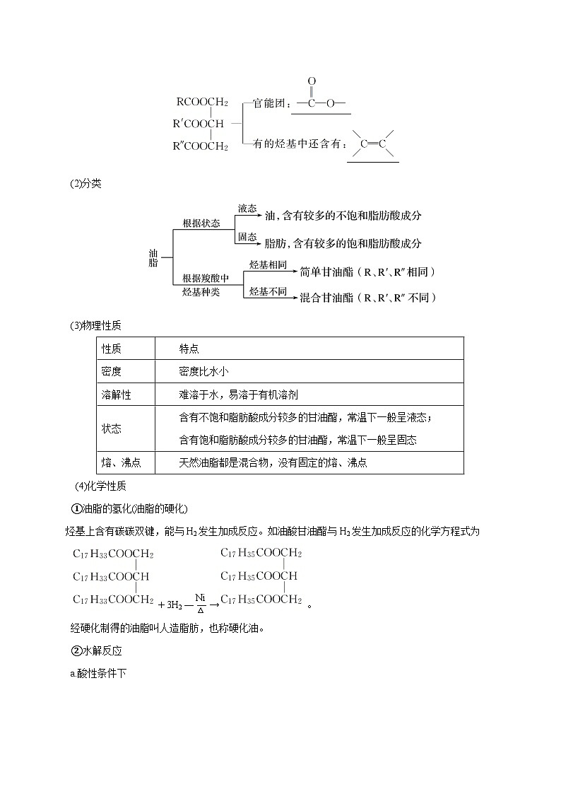 第34讲 生物大分子 与合成高分子- 2024年高考化学大一轮复习【精讲精练】03