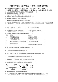 四川省成都市树德中学2023-2024学年高一下学期3月月考化学试题(含答案)