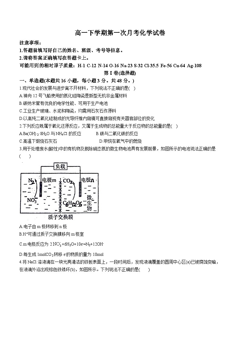 河北省沧州市泊头市第一中学2023-2024学年高一下学期3月月考化学试题(无答案)01