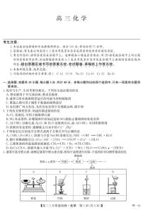 湖北省九师联盟2024届高三下学期3月质量检测（W-G）化学试卷