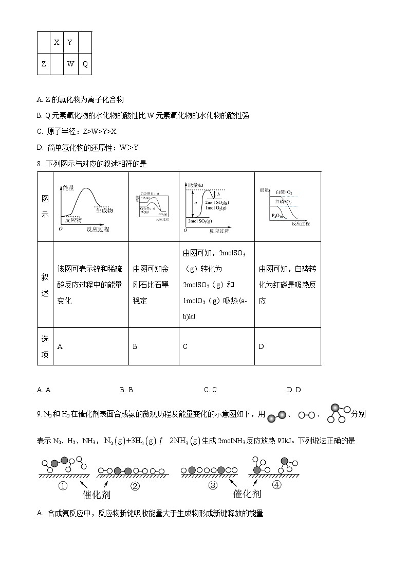 河南省郑州市第十一中学2023-2024学年高一下学期4月月考化学试题(原卷版)第3页