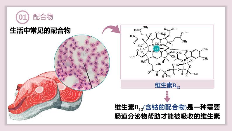 3.4.1配合物与超分子课件2023-2024学年高二下学期化学人教版(2019)选择性必修2第6页