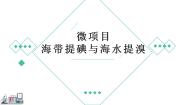 化学微项目 海带提碘与海水提溴——体验元素性质递变规律的实际应用评课ppt课件