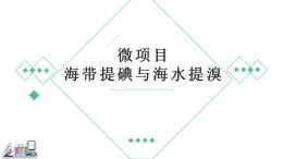 2023-2024学年鲁科版（2019）必修第二册 第一章 二微项目 海带提碘和海水提溴  课件