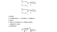 高中化学人教版 (2019)必修 第二册实验活动5 不同价态含硫物质的转化精品学案及答案