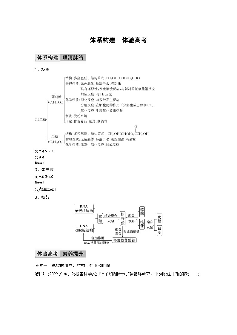 2024年高中化学新教材同步讲义 选择性必修第三册 第4章 体系构建 体验高考(含解析)第1页