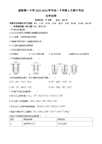 四川省南充市嘉陵第一中学2023-2024学年高一下学期4月期中考试化学试题(含答案)