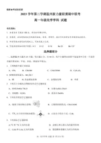 浙江省温州新力量联盟2023-2024学年高一下学期期中联考化学试题（PDF版含答案）