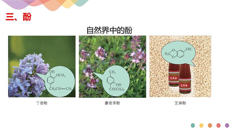高中化学2.2.2 酚 课件—鲁科版选择性必修3(共23页PPT)课件+教学设计+学案03