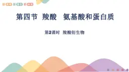 高中化學(xué)2.4.2  羧酸衍生物   課件—魯科版選擇性必修3（共21）課件+教學(xué)設(shè)計(jì)+學(xué)案