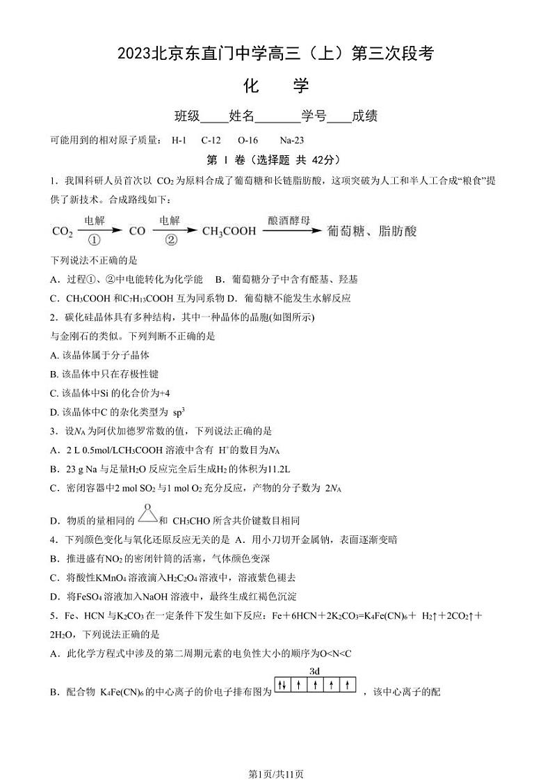 2023北京东直门中学高三上学期12月月考化学试卷及答案第1页