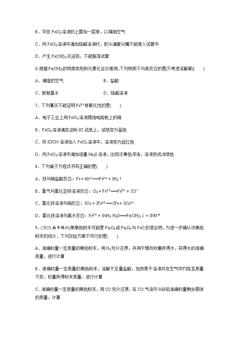 第19练 铁及其重要化合物 同步练习(含答案)-2025年高考化学一轮复习第2页