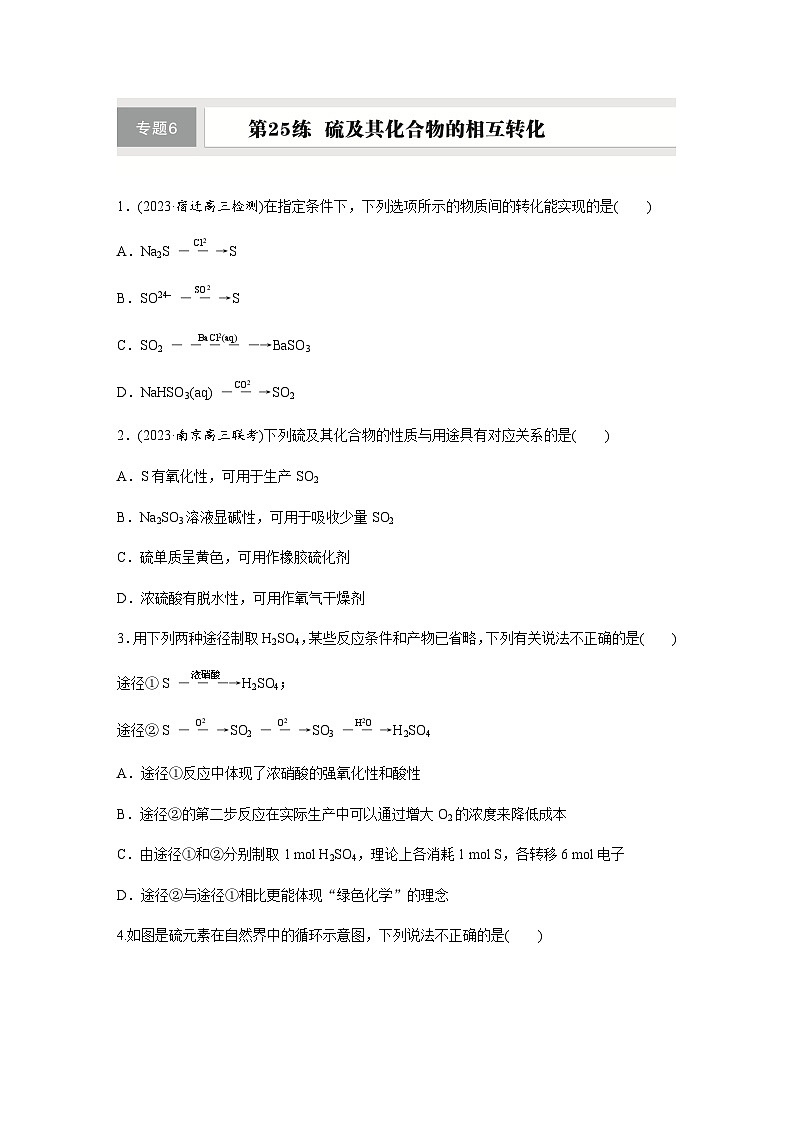 第25练 硫及其化合物的相互转化 同步练习(含答案)-2025年高考化学一轮复习第1页