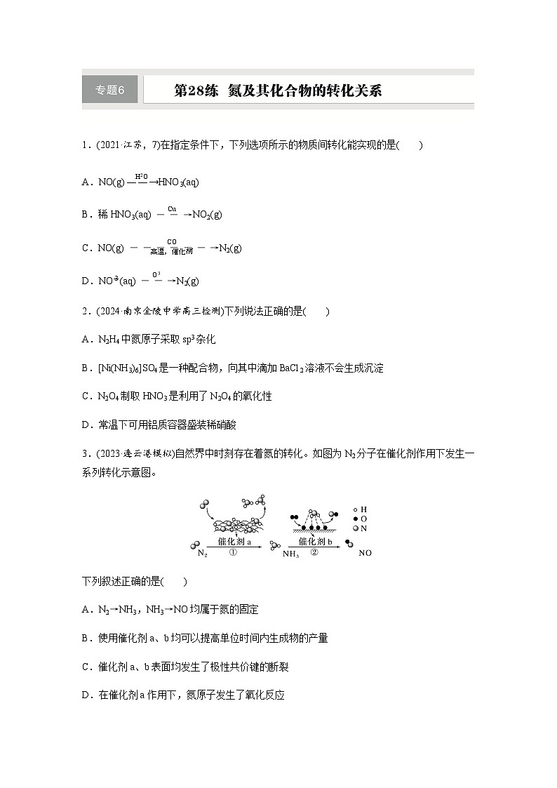 第28练 氮及其化合物的转化关系 同步练习(含答案)-2025年高考化学一轮复习第1页