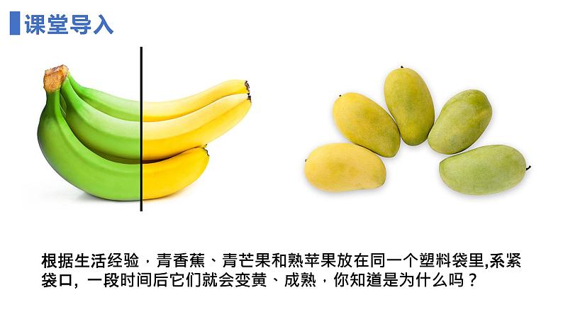 7.2.1 乙烯 课件 2023-2024学年高一下学期化学人教版(2019)必修第二册第3页