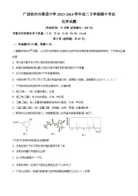 广西钦州市第四中学2023-2024学年高二下学期期中考试化学试卷(原卷版+解析版)
