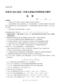 2024届河北省雄安新区雄安部分高中高三下学期一模化学试题