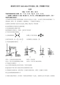 湖南师大附中2024年高二下学期期中考试化学试题+答案