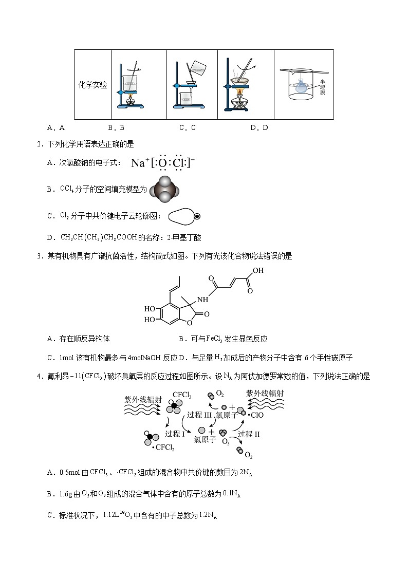 高考化学模拟(福建卷)-2024年高考化学考前押题密卷02