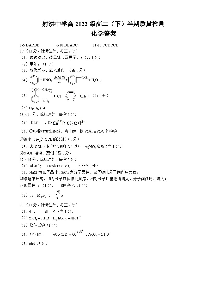 2024遂宁射洪中学高二下学期期中考试化学含答案01