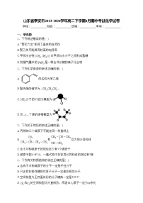 山东省泰安市2023-2024学年高二下学期4月期中考试化学试卷(含答案)