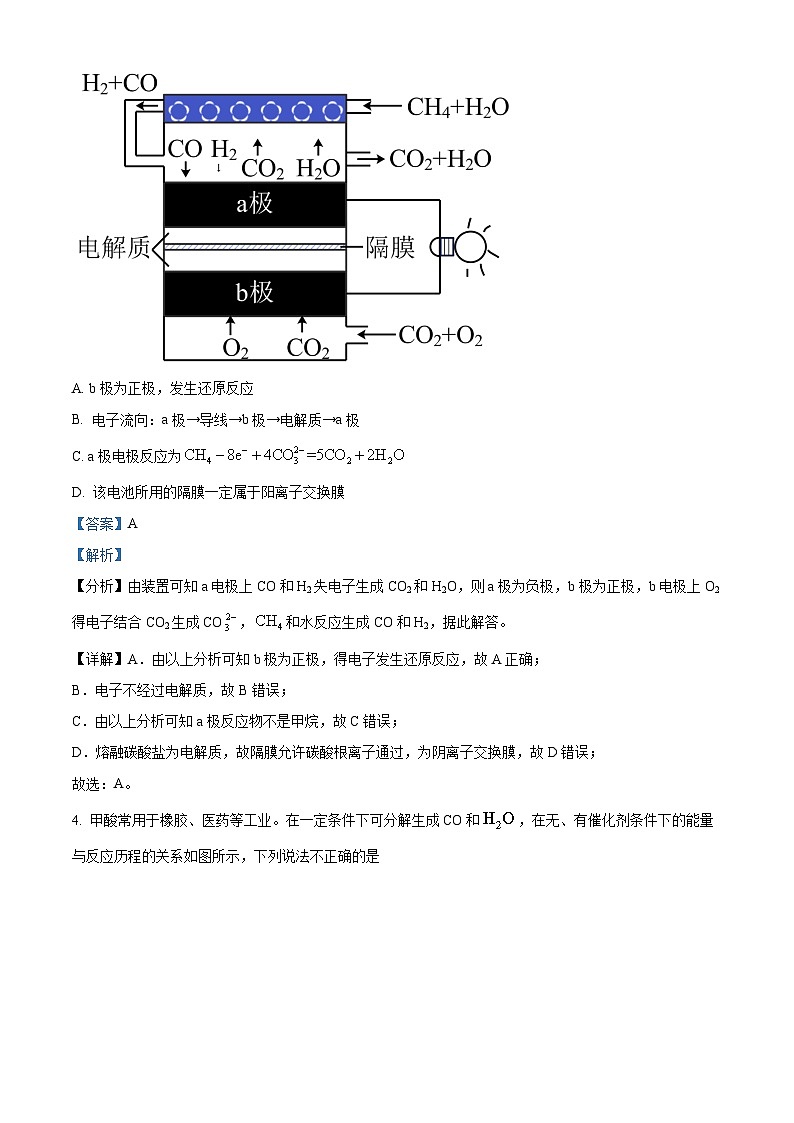 浙江省部分学校2024届高三下学期模拟考试化学试卷 Word版含解析第3页