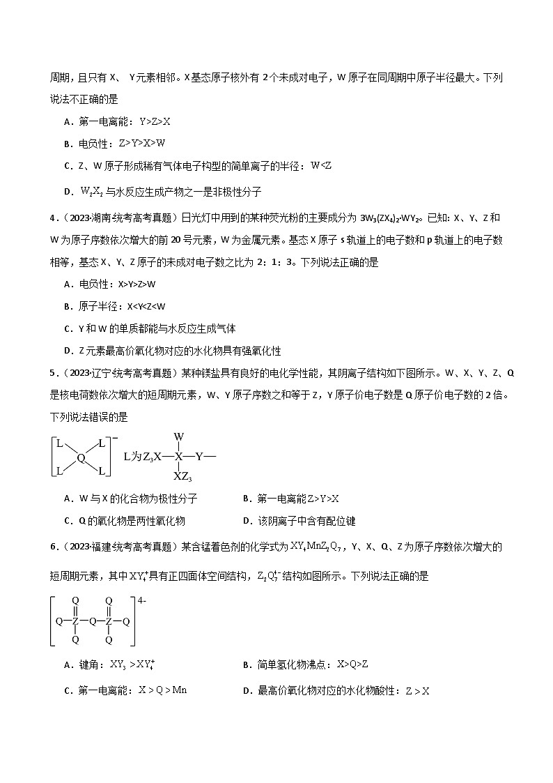 专题06 元素“位—构—性”的推断-【专题强化】2024年高考化学二轮专题强化训练02