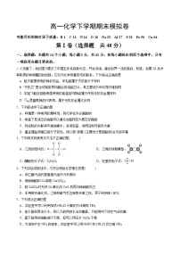 四川省绵阳市南山中学2023-2024学年高一下学期期末模拟化学试题（Word版附答案）