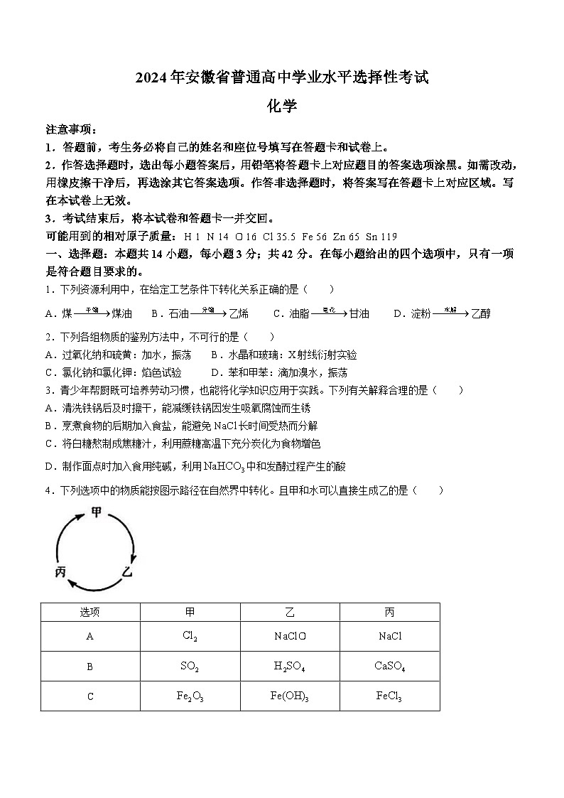 2024年新高考安徽化学高考真题(无答案)01