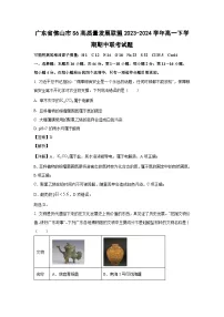 化学：广东省佛山市S6高质量发展联盟2023-2024学年高一下学期期中联考试题（解析版）