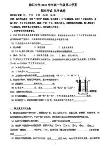 上海市徐汇中学2023-2024学年高一下学期期末考试化学试卷