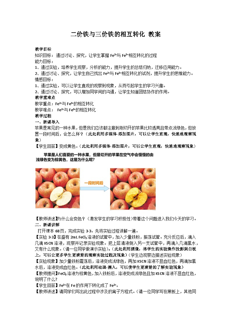 二价铁与三价铁的相互转化 教案-高一上学期人教版化学(2019)必修第一册01