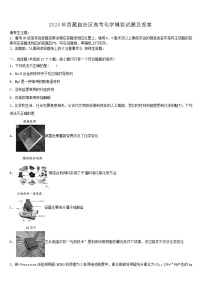 2024年西藏自治区高考化学模拟试题及答案